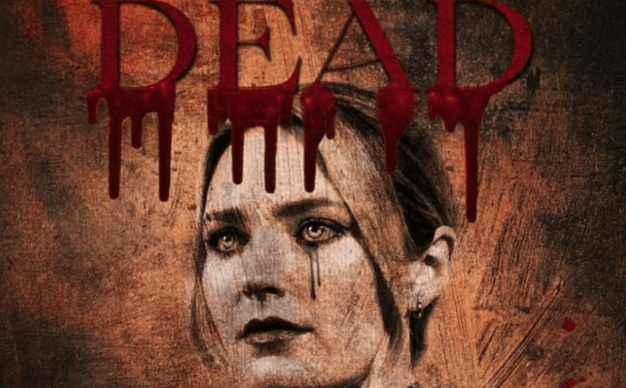 Come finisce La Donna nel Dipinto: trama e finale