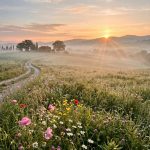 Buongiorno, buon mercoledì 28 ottobre: 100 frasi e immagini da scaricare e inviare su WhatsApp